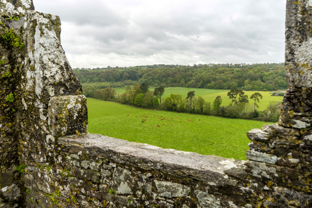 View From Blarney Castle