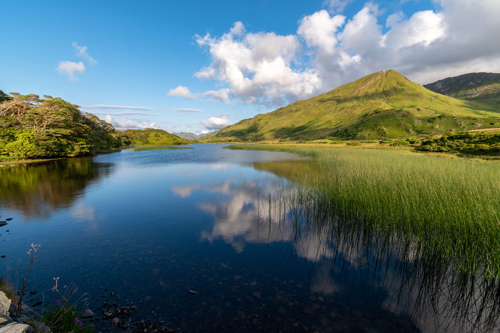 View-over-Pollacapall-Lake-to-Green-mountain,-Connemara-National-Park