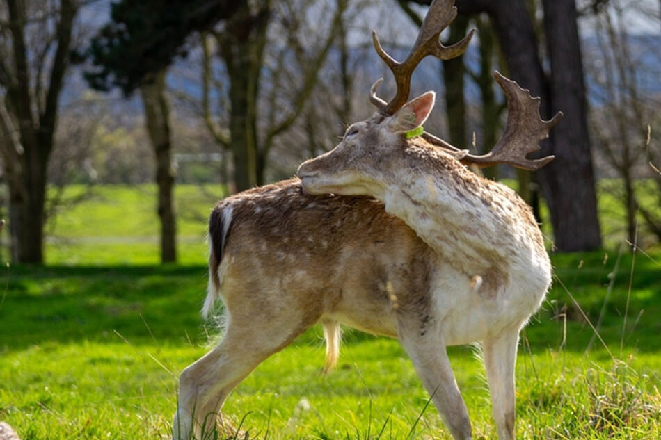 You are currently viewing Killarney National Park: A Guide to Ireland’s First National Park