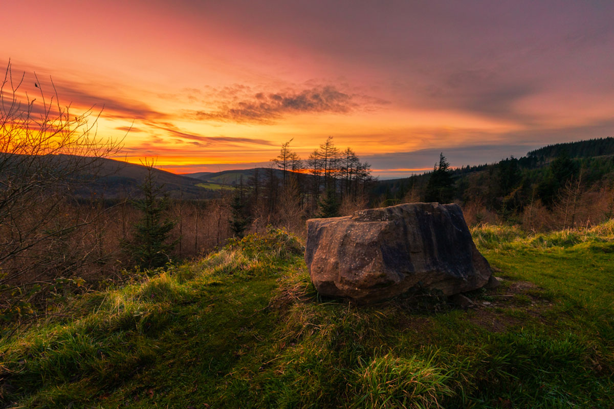 You are currently viewing Reveling in Nature’s Splendor at the Slieve Bloom Mountains
