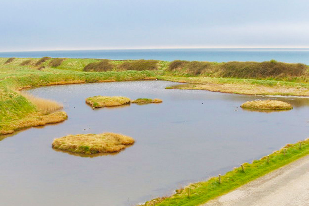 Wexford Wildfowl Reserve