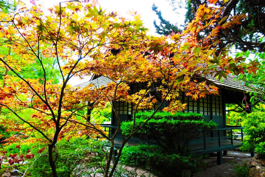 Japanese Gardens at Tully