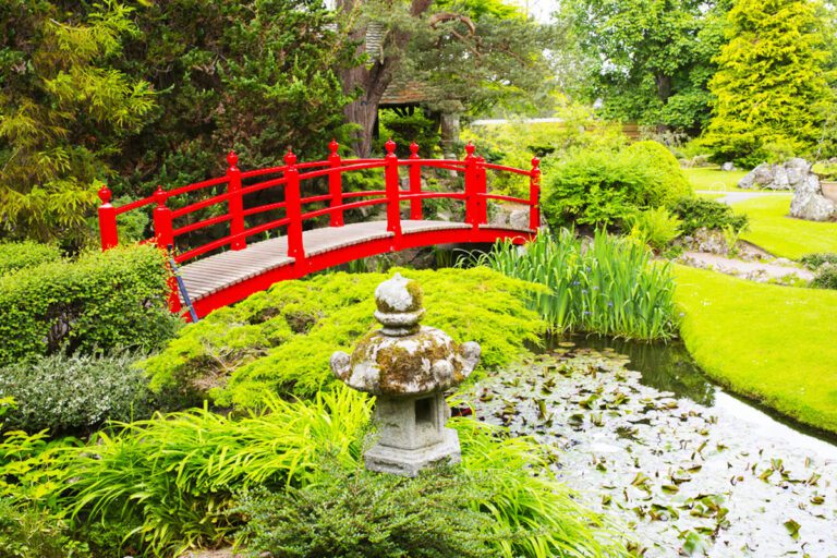 Read more about the article The Japanese Gardens at Tully: Experiencing Tranquility in Kildare