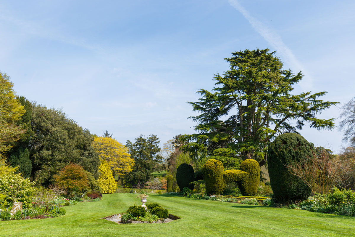 You are currently viewing Altamont Gardens: Ireland’s Hidden Gem of Natural Beauty and History