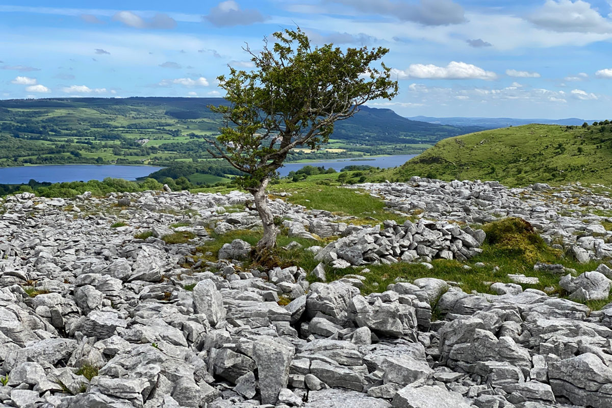 You are currently viewing Cavan Burren Park: A Year-Round Exploration of Nature and History