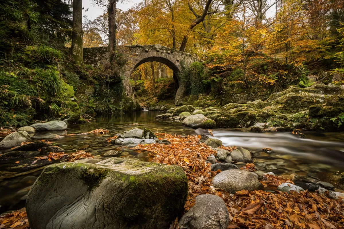 Foley's Bridge Tollymore Forest Park