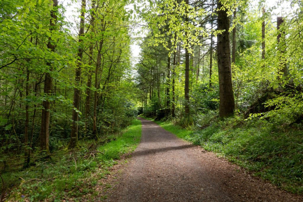 Rossmore Forest Park