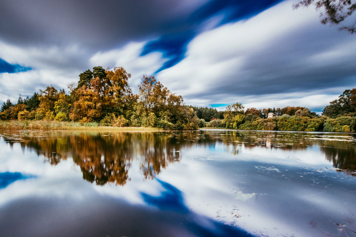 Rossmore Forest Park