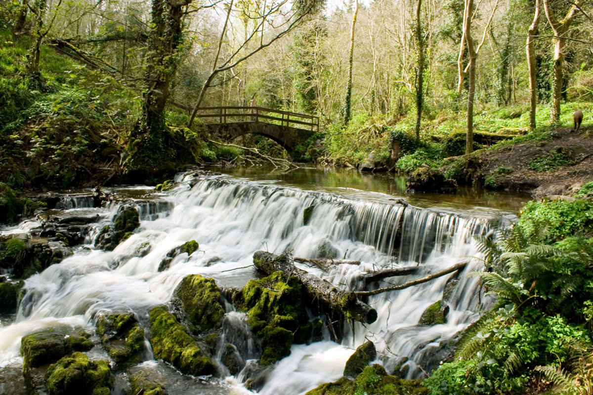 Dún na Rí Forest Park